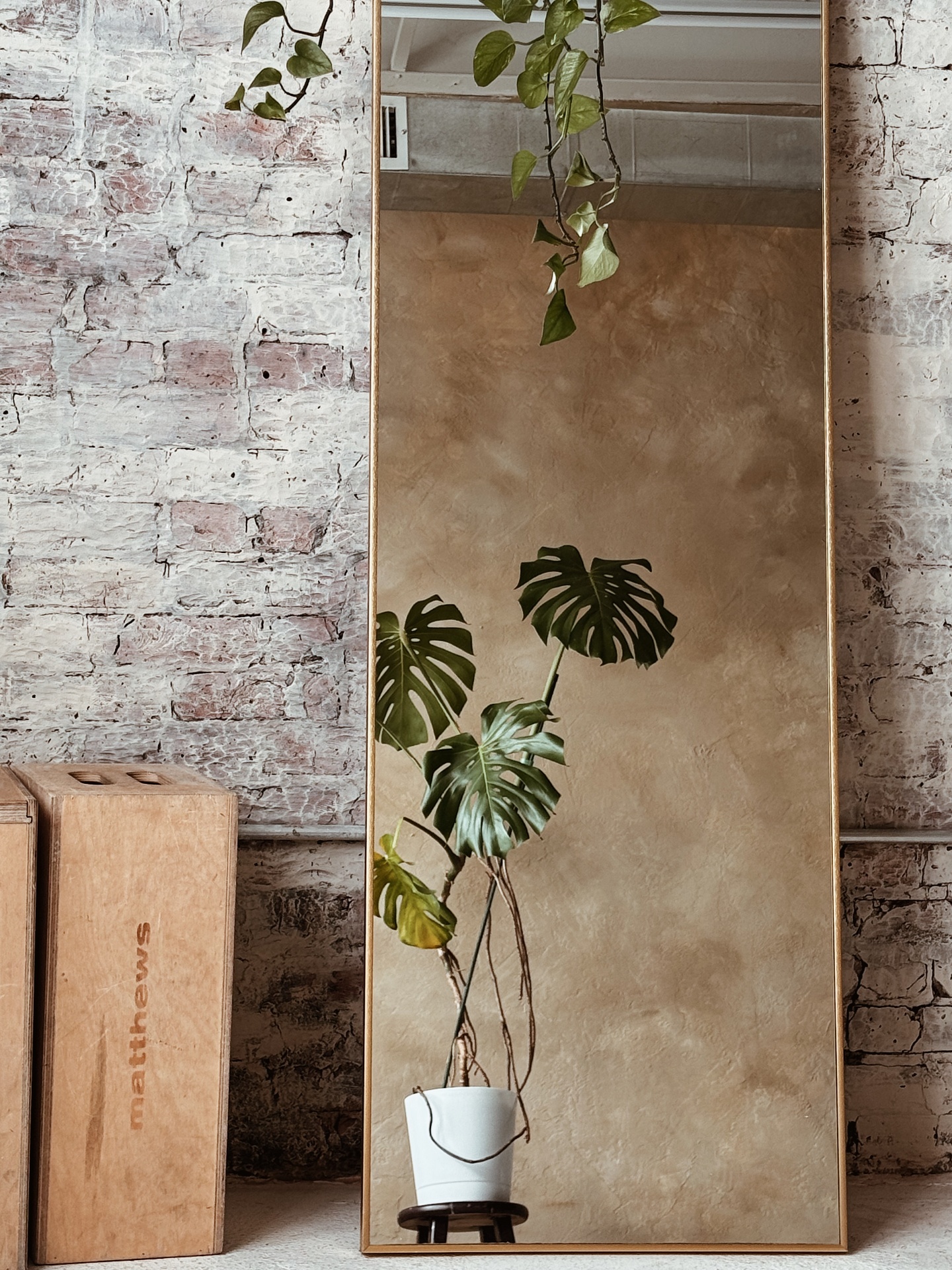 Umbra mirror with plant reflection