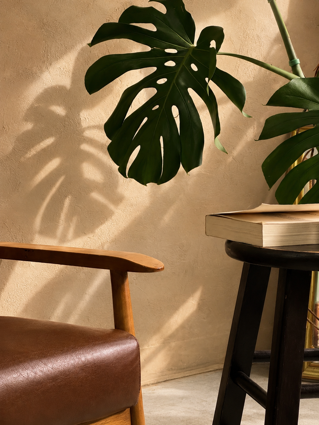 Umbra studio detail with monstera leaf and chair